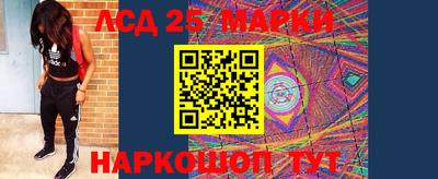 прущие грибы Краснознаменск