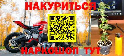 прущие грибы Краснознаменск