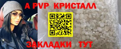 прущие грибы Краснознаменск
