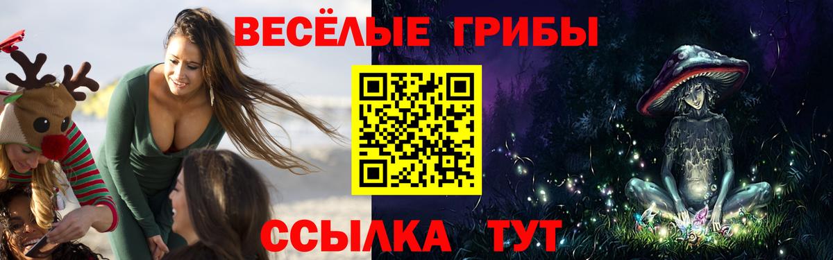 Псилоцибиновые грибы прущие грибы Заинск