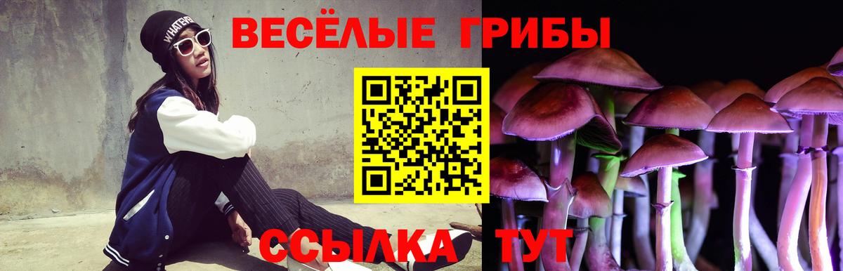 Заинск  Галлюциногенные грибы Psilocybe  Вход с VPN  Галлюциногенные грибы мухоморы 